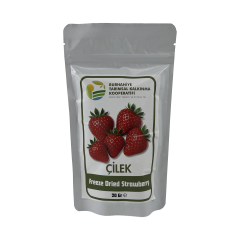 Burhaniye Kurutulmuş Çilek 20 Gr