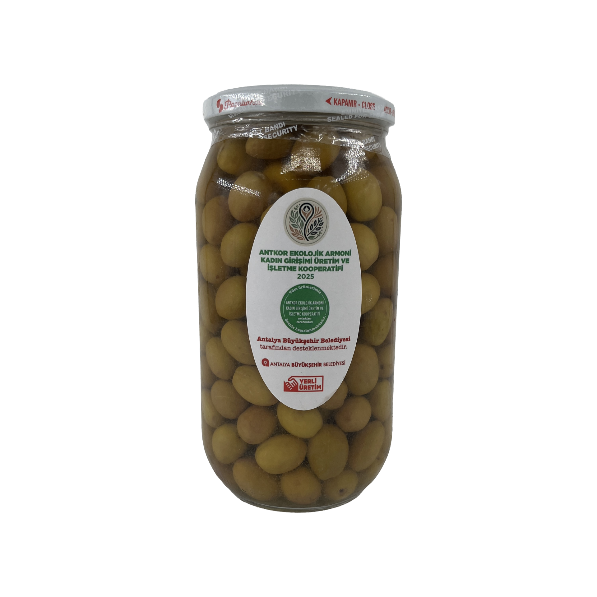 Antkor Yeşil Zeytin (Gemlik) 1 Kg