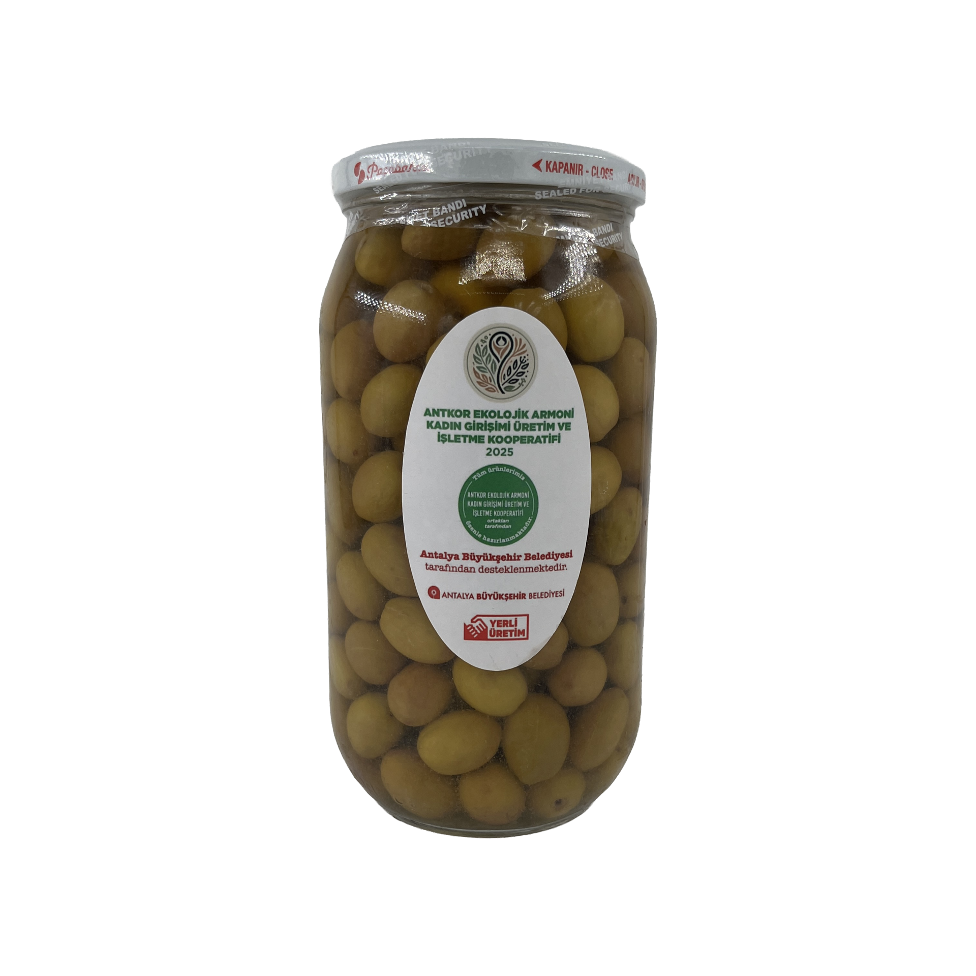 Antkor Yeşil Zeytin (Gemlik) 1 Kg